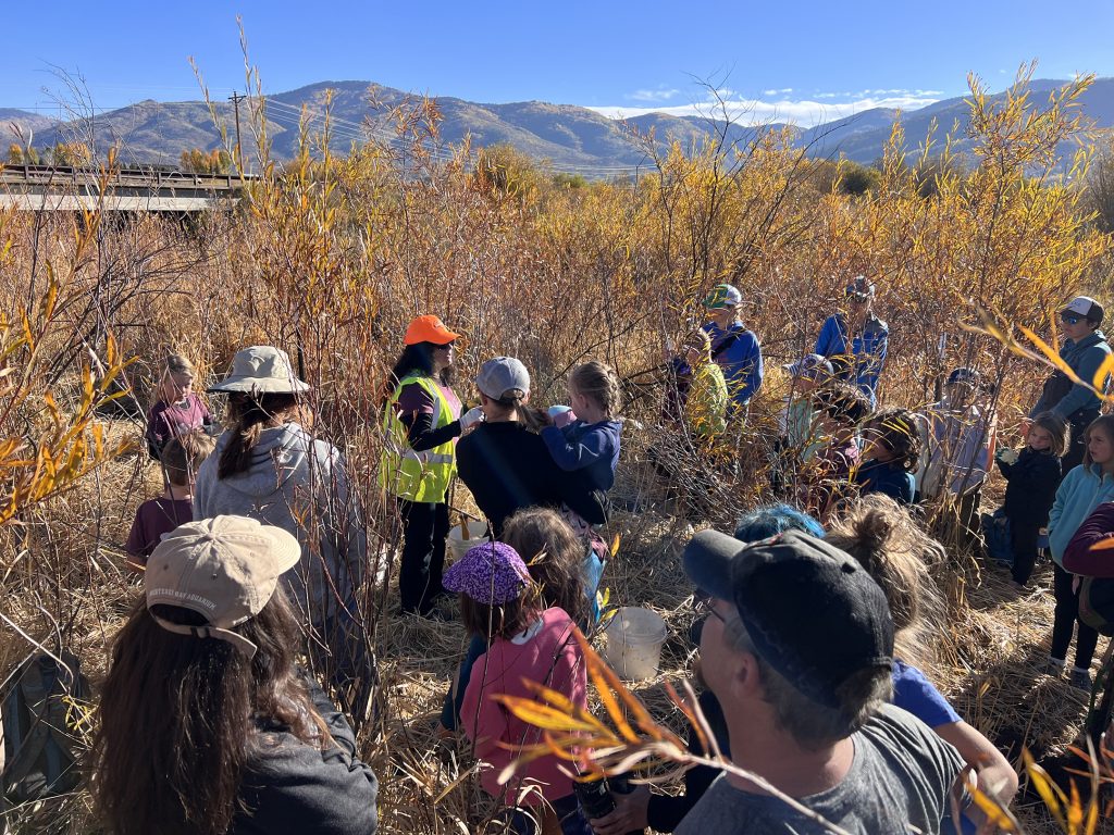 A woman stands talking to a group of volunteers surrounded by small trees and shrubs