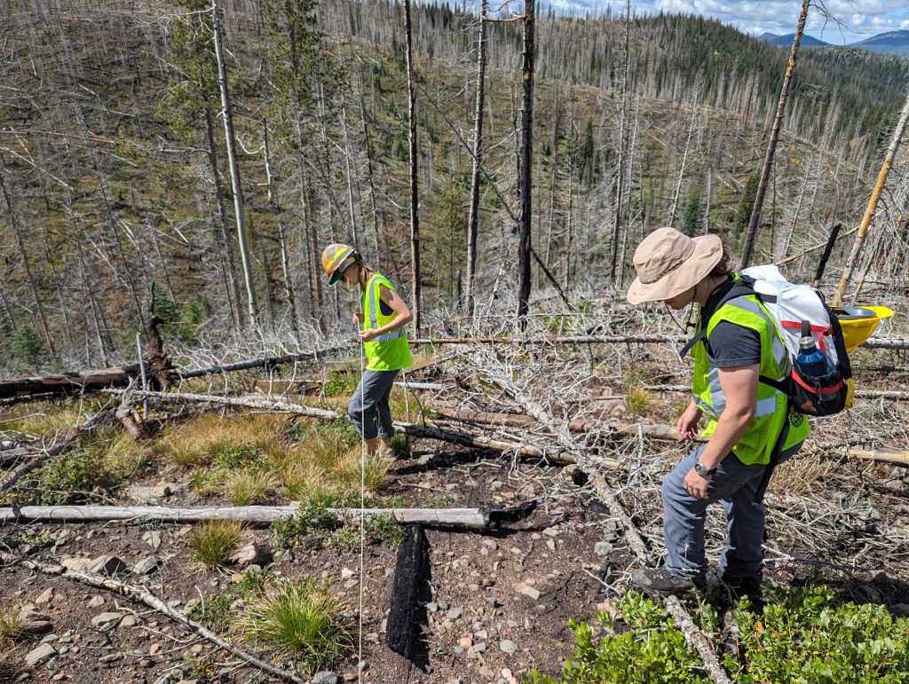 Photo of two people standing in a burned forest. One holds a string while the other looks at the ground.