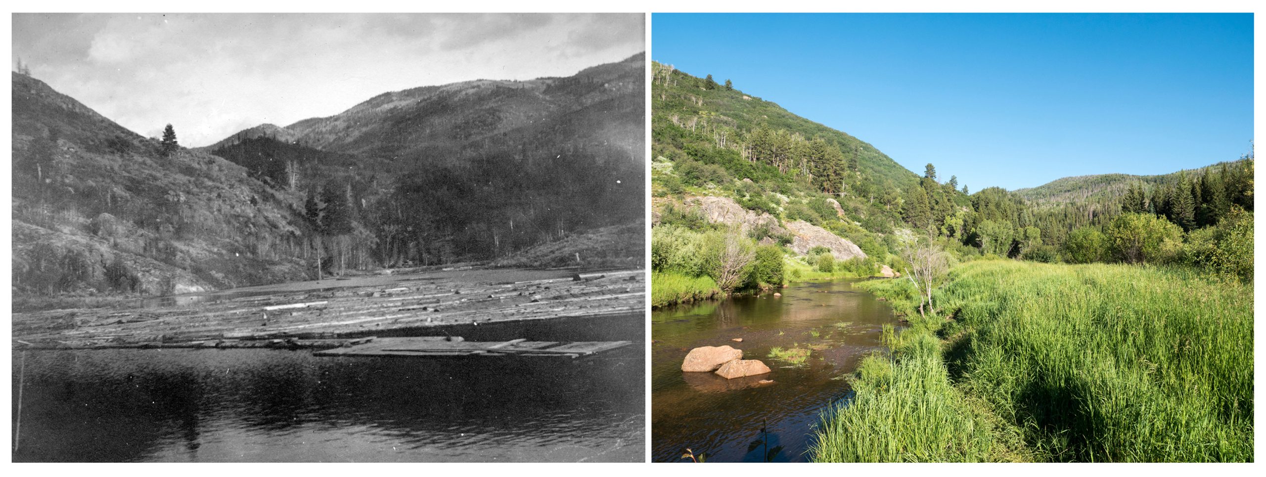 A side by side photo shows a picture of a lumber yard with few trees and a modern photo of a healthy river surrounded by trees.