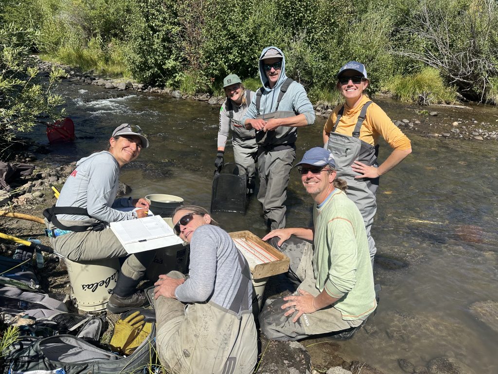 A group of people stand in waders in the river, smiling while working on electrofishing project.