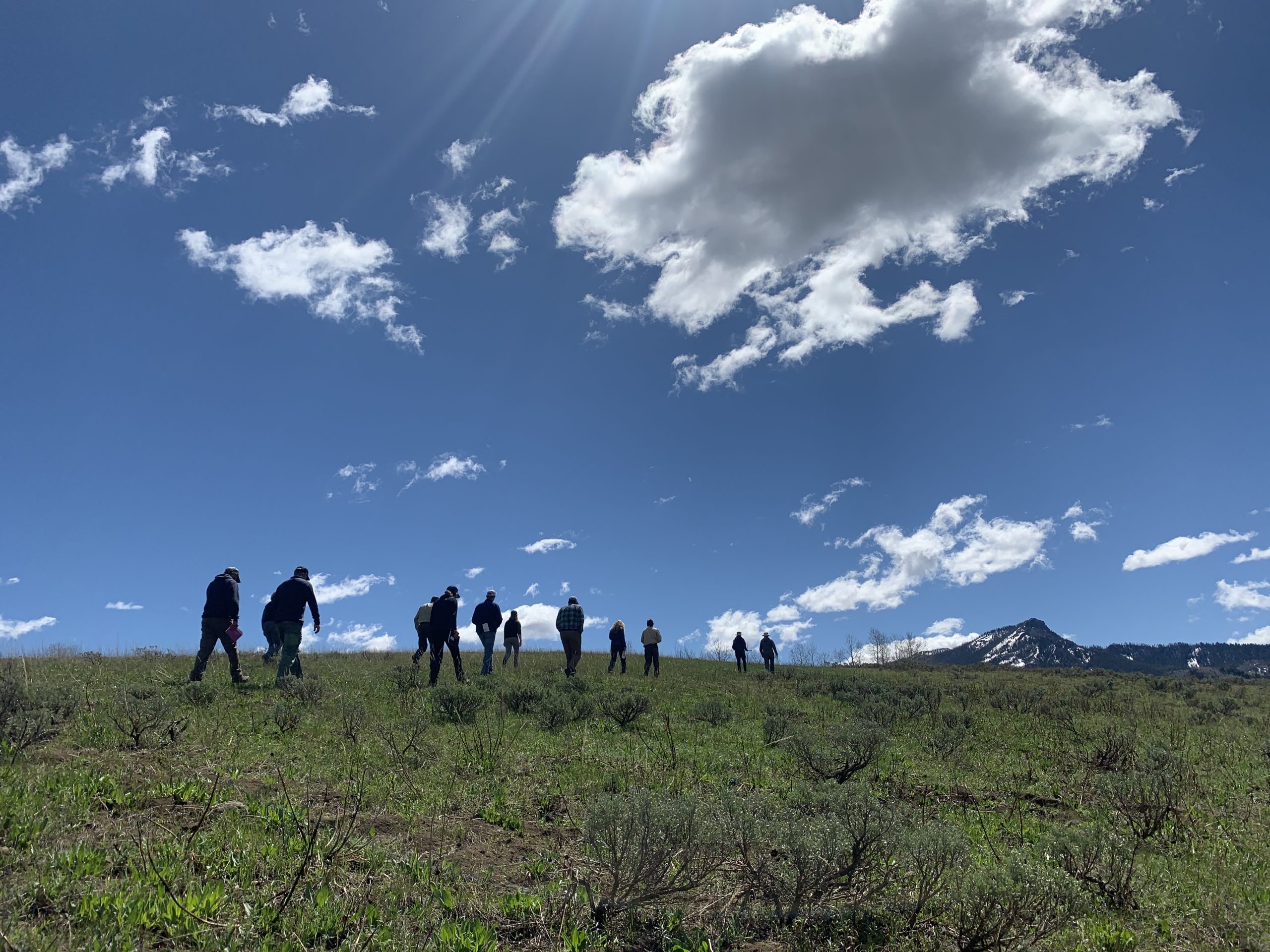 A group of people walking through a green field with blue sky and clouds overhead and a mountain in the background.