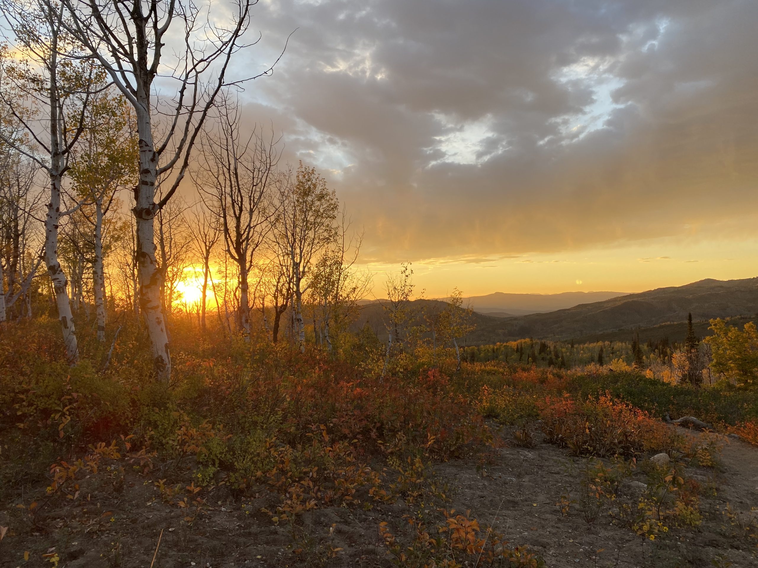 Fall sunset in Steamboat. Cover photo for candidate sustainability forum.