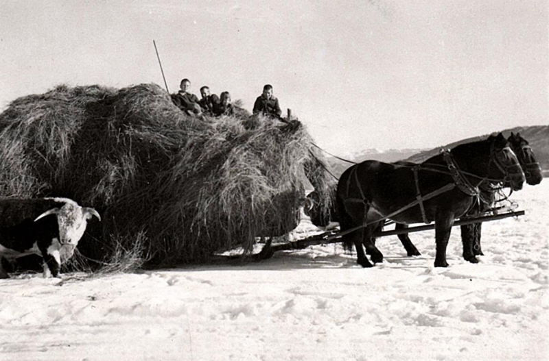 Four children sit atop a hay bales on a trailer being pulled by two horses.